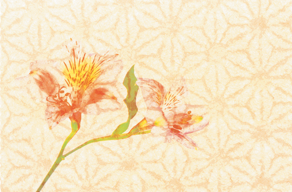 FLOWER ROSE`FR 66